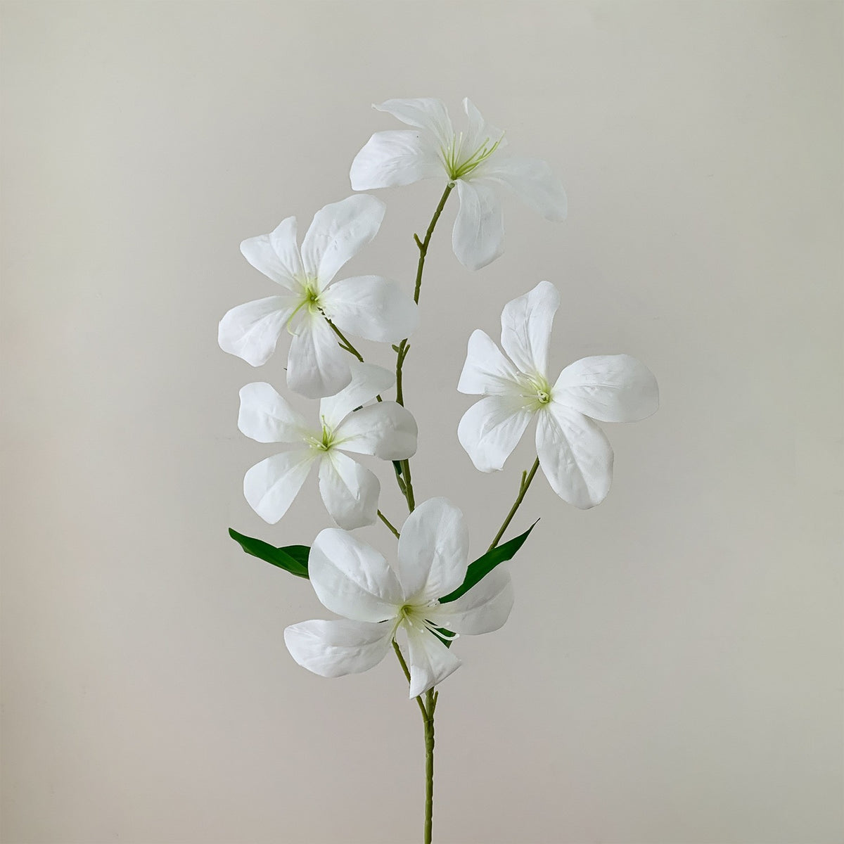 Decorative Floral Arrangement