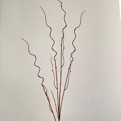 Decorative Twisted Branch Arrangement