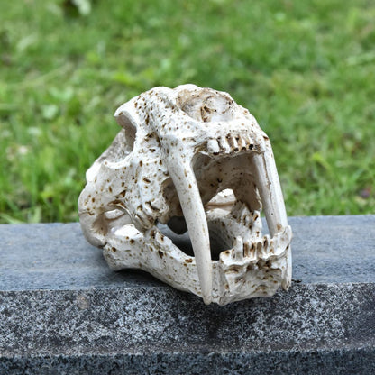 Decorative Animal Skull Figurine Homeandso