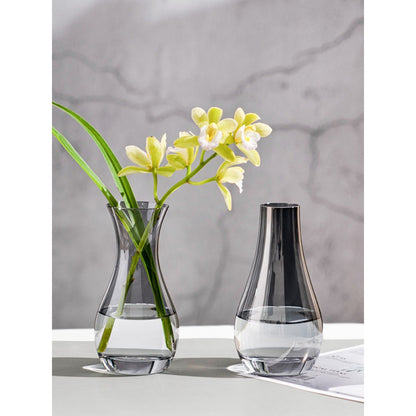 Elegante Glas-Wasser-Karaffe