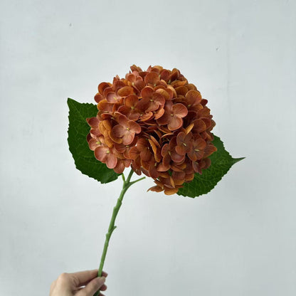 Realistic Hydrangea Stem