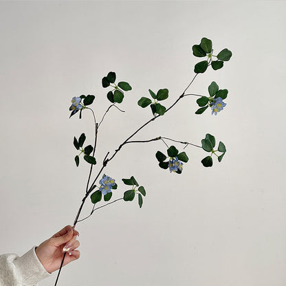 Decorative Botanical