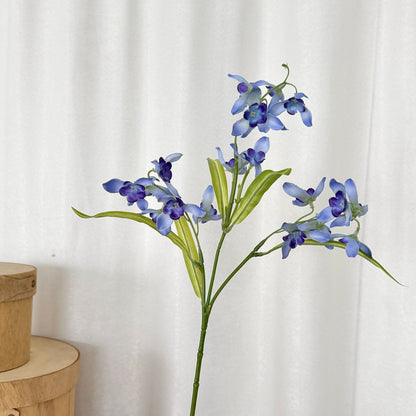 Elegant Orchid Flower Stem