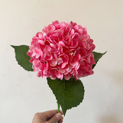 Realistic Hydrangea Stem