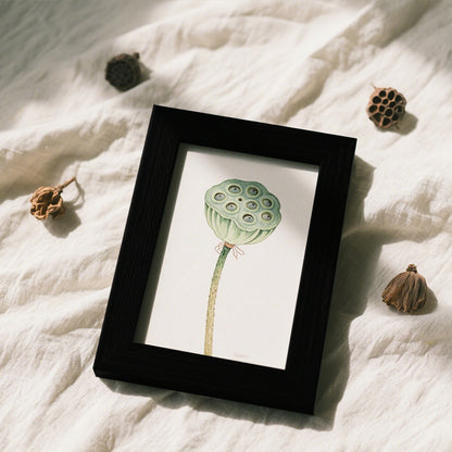 Decorative Botanical Illustration Frame