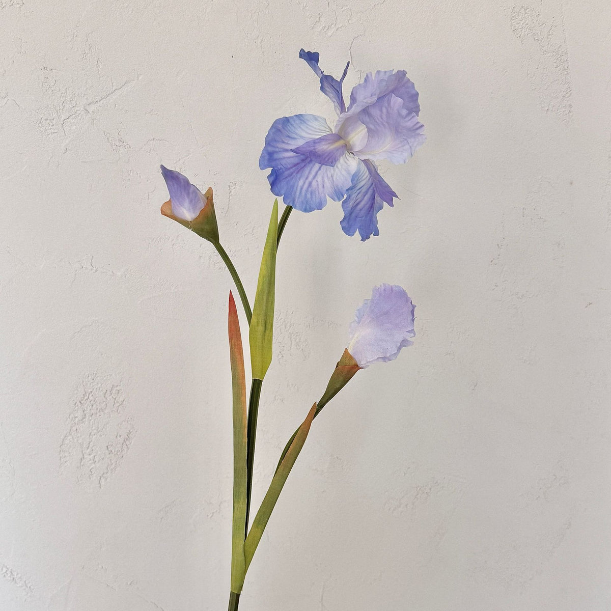 Elegant Floral Arrangement for Home Display