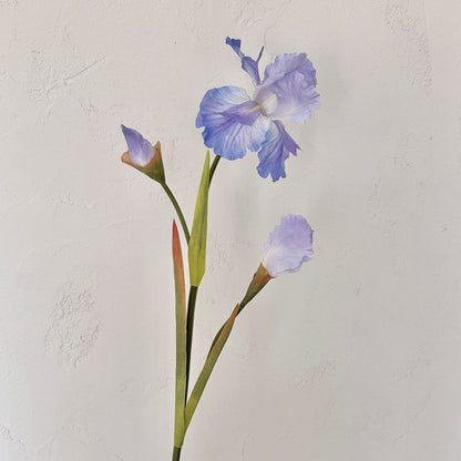 Elegant Floral Arrangement for Home Display