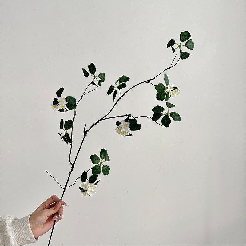 Decorative Botanical