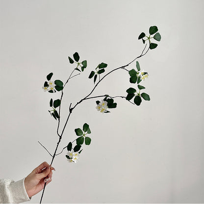Decorative Botanical