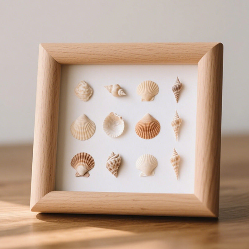 Sea Shell Shadow Box Display