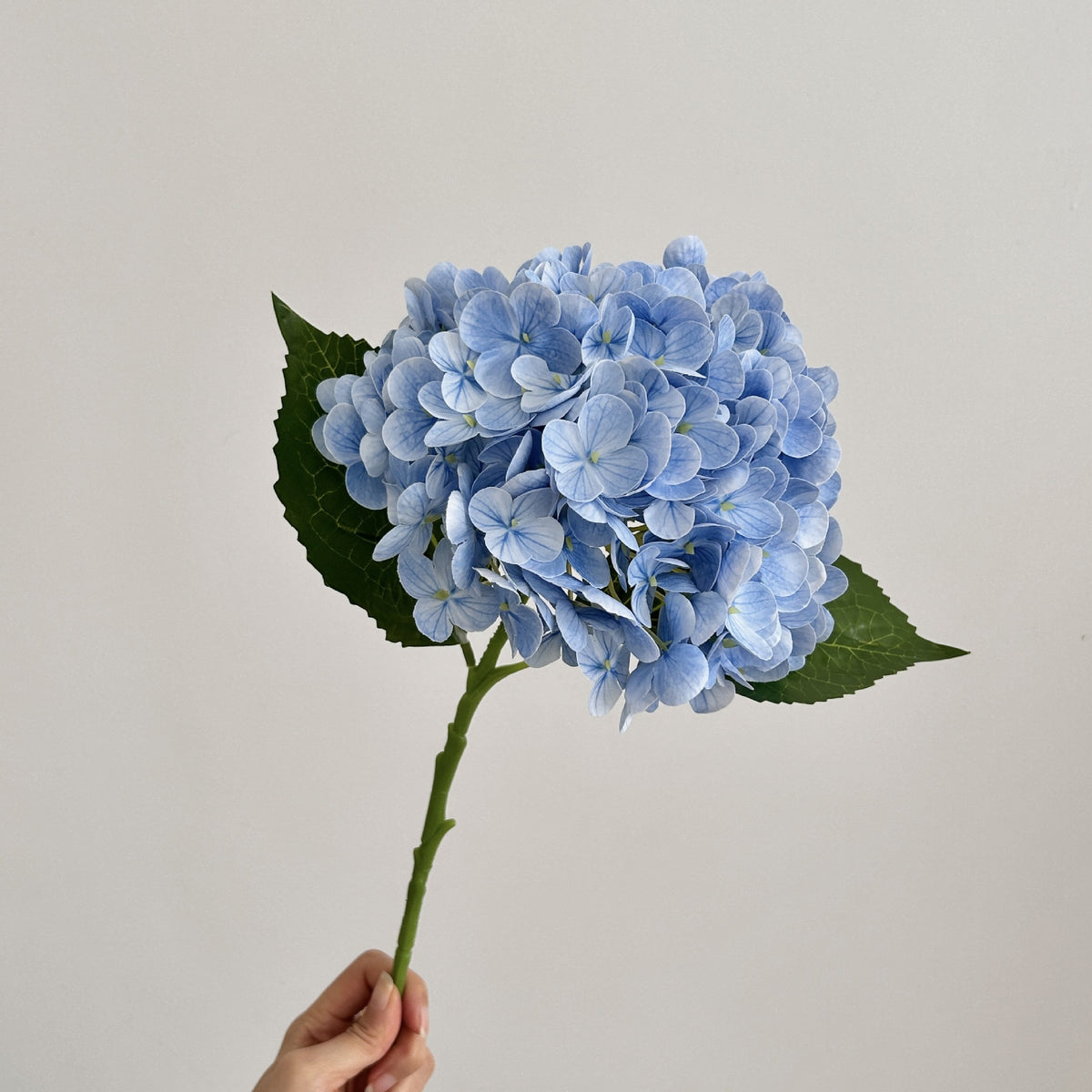 Realistic Hydrangea Stem