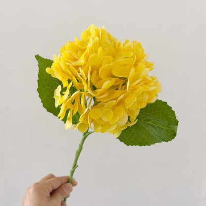 Realistic Hydrangea Stem