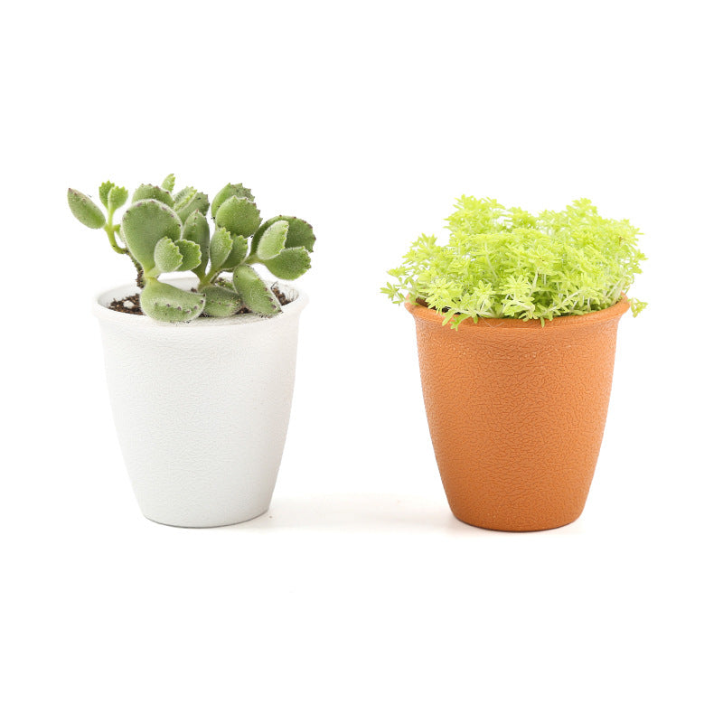 Stylish Textured Plant Container Homeandso