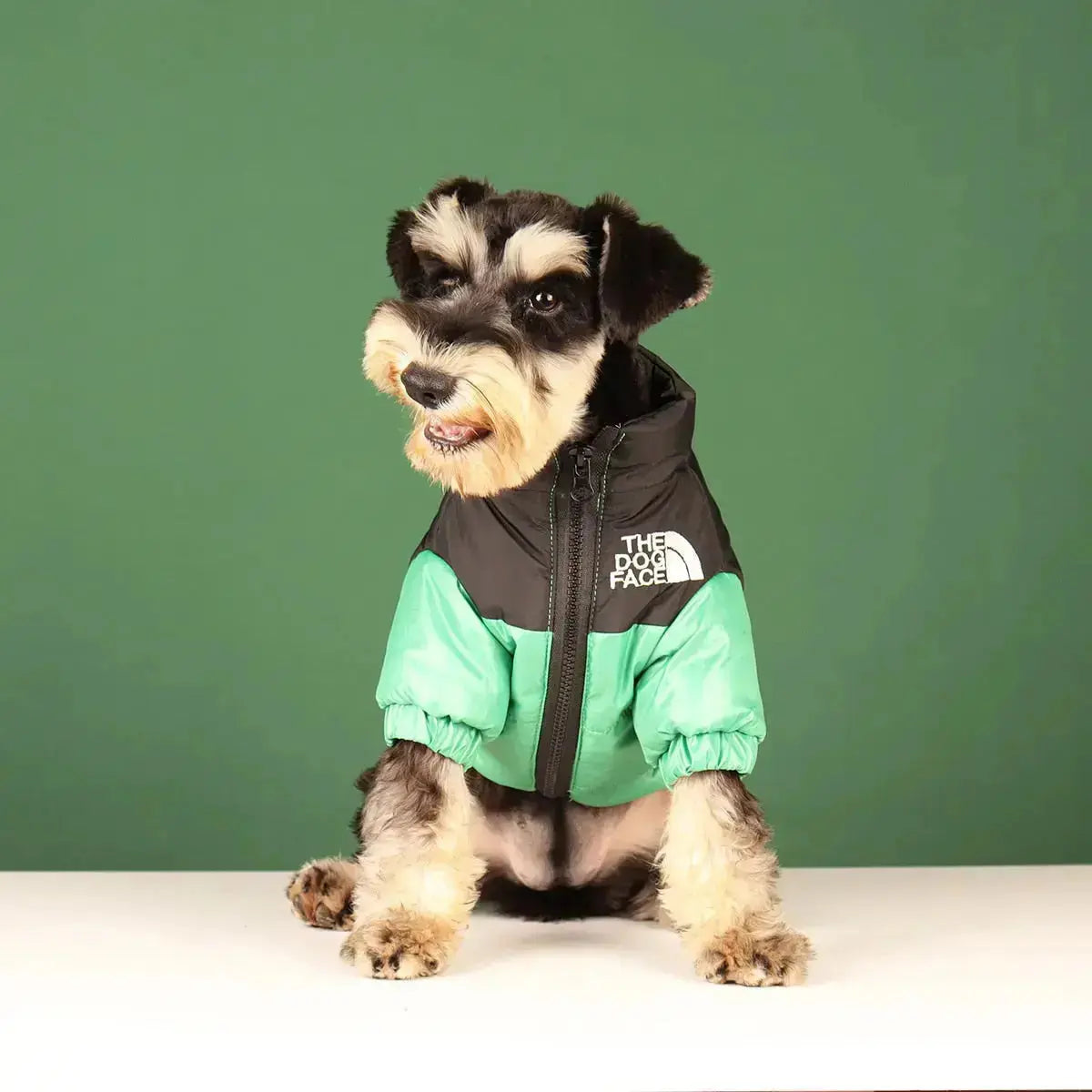 Dog Winter Jacket | Lined and Windproof