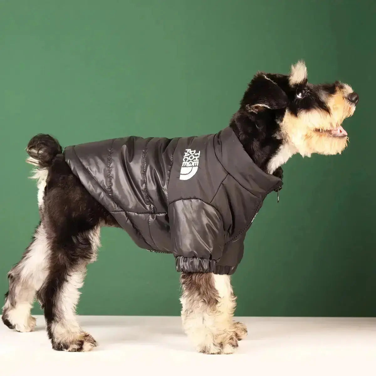 Dog Winter Jacket | Lined and Windproof