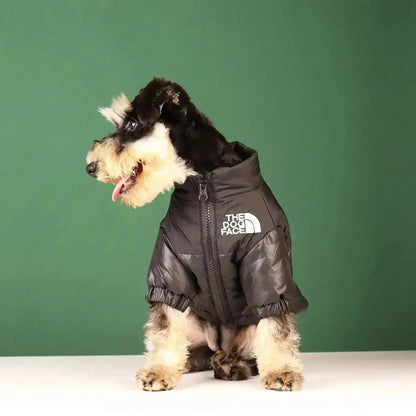 Dog Winter Jacket | Lined and Windproof