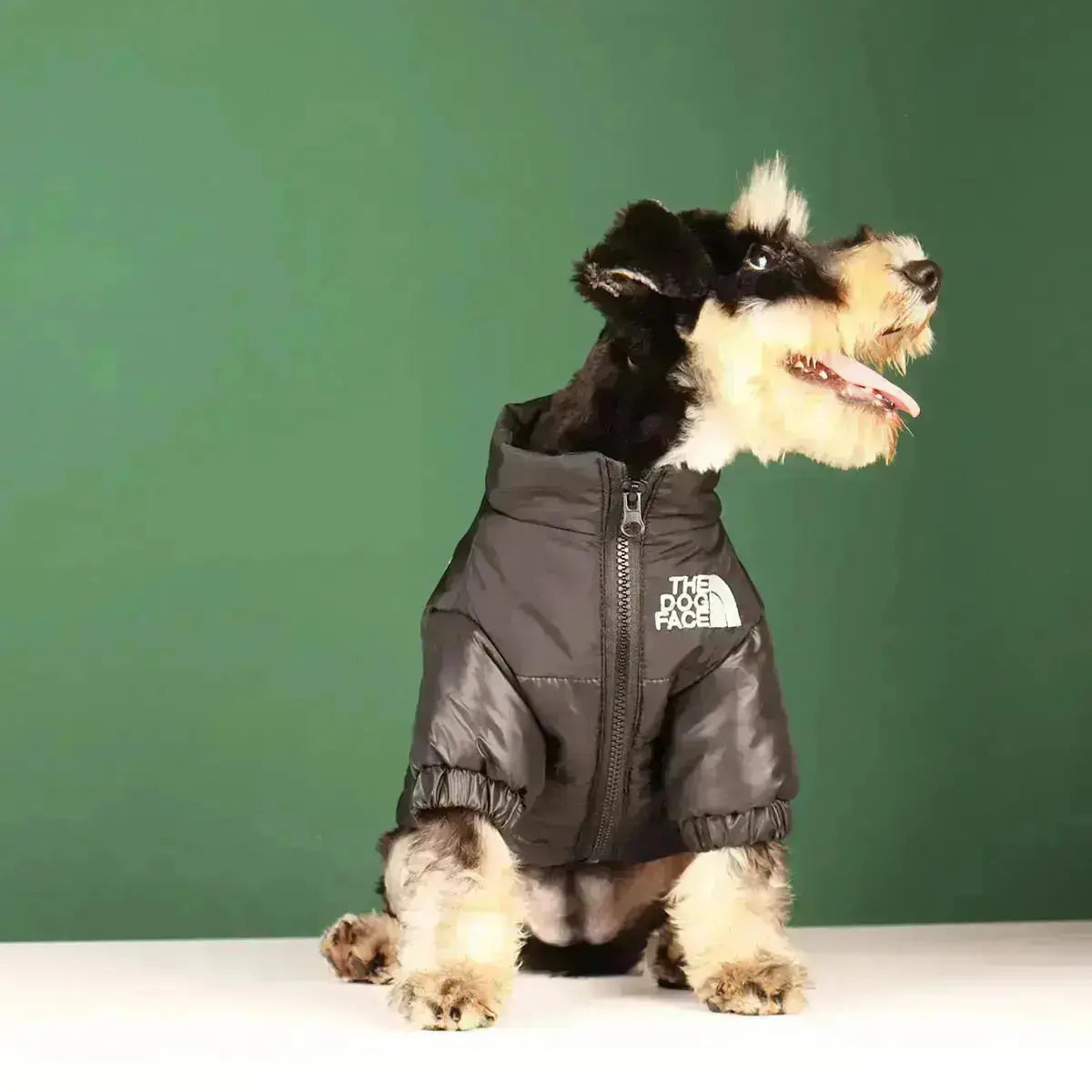 Dog Winter Jacket | Lined and Windproof