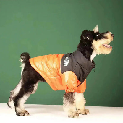 Dog Winter Jacket | Lined and Windproof