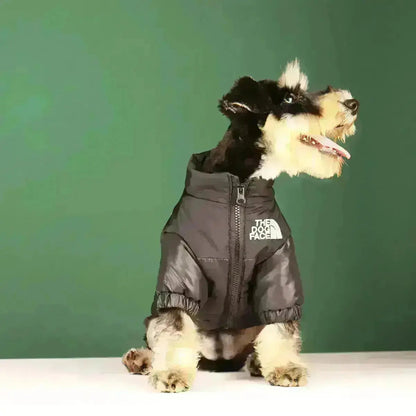 Dog Winter Jacket | Lined and Windproof